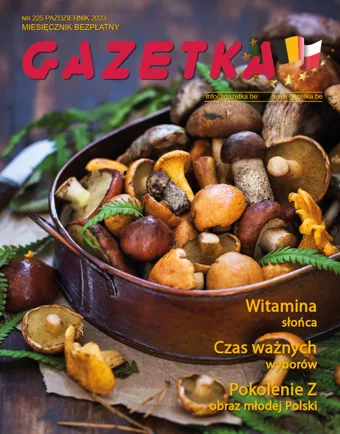 NR 225 październik 2023
