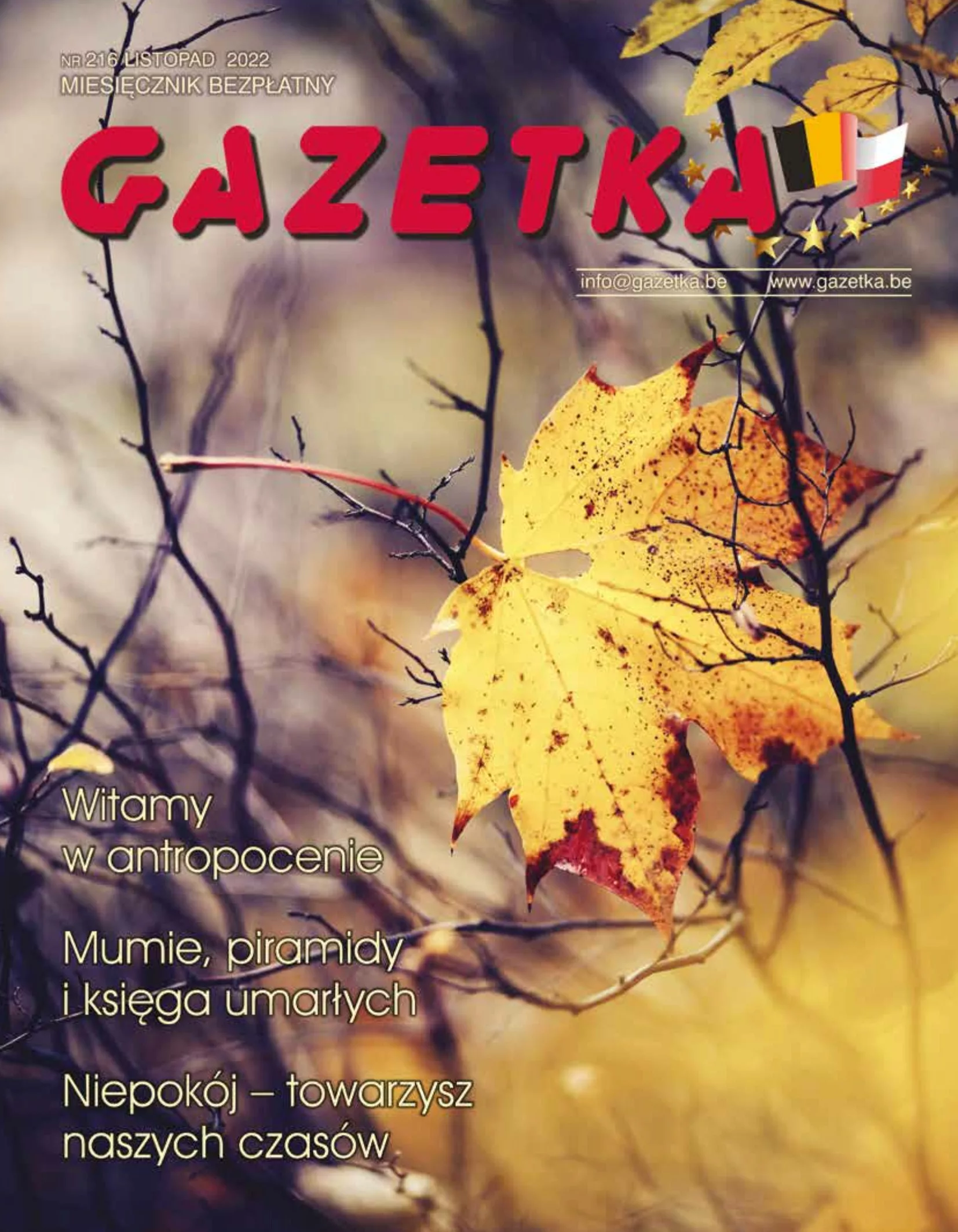 NR 216 Listopad 2022