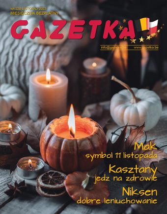 NR 226 LISTOPAD 2023
